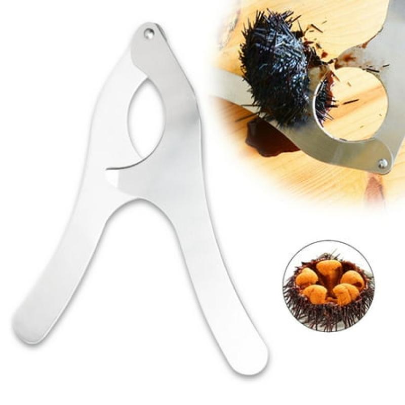 Previzualizare dorință