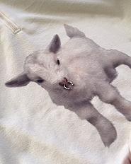 Футболка «козлик с пирсингом»