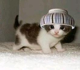 Мастер-класс в гончарку