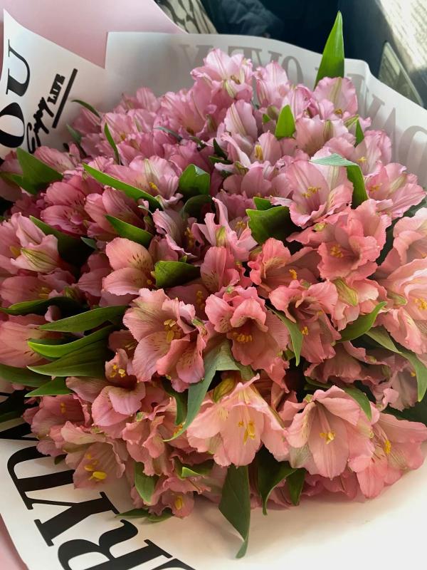 Forhåndsvisning af ønskeliste