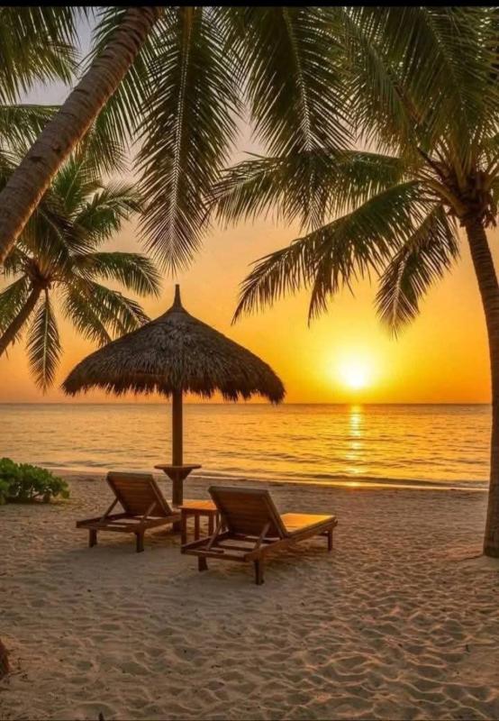 Previzualizare dorință