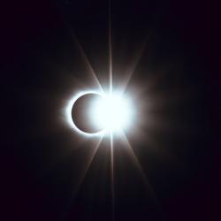 User Avatar: @radikradikov