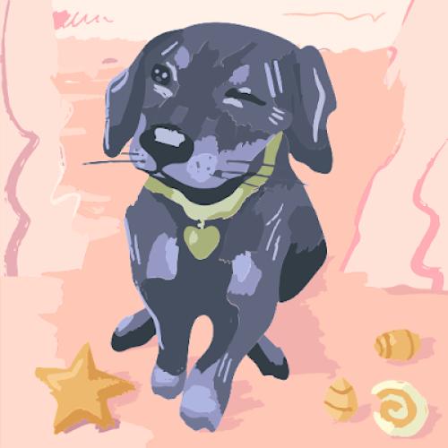 Avatar de l'utilisateur