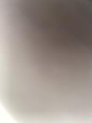 User Avatar: @balerinacapucina