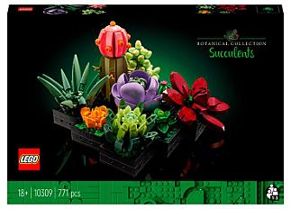 Конструктор LEGO Botanicals Сукуленти (10309) купити в Києві, Україні за вигідною ціною | 【Будинок іграшок】