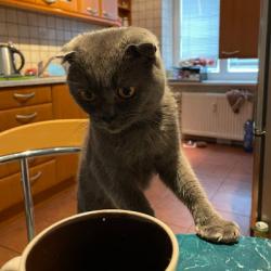 User Avatar: @maryna