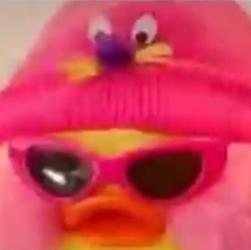 User Avatar: @pollikuznecova