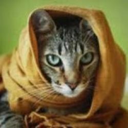 User Avatar: @ivanbilunyk