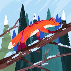 Uporabniška slika: @ermkssha