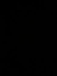 User Avatar: @ilgiza