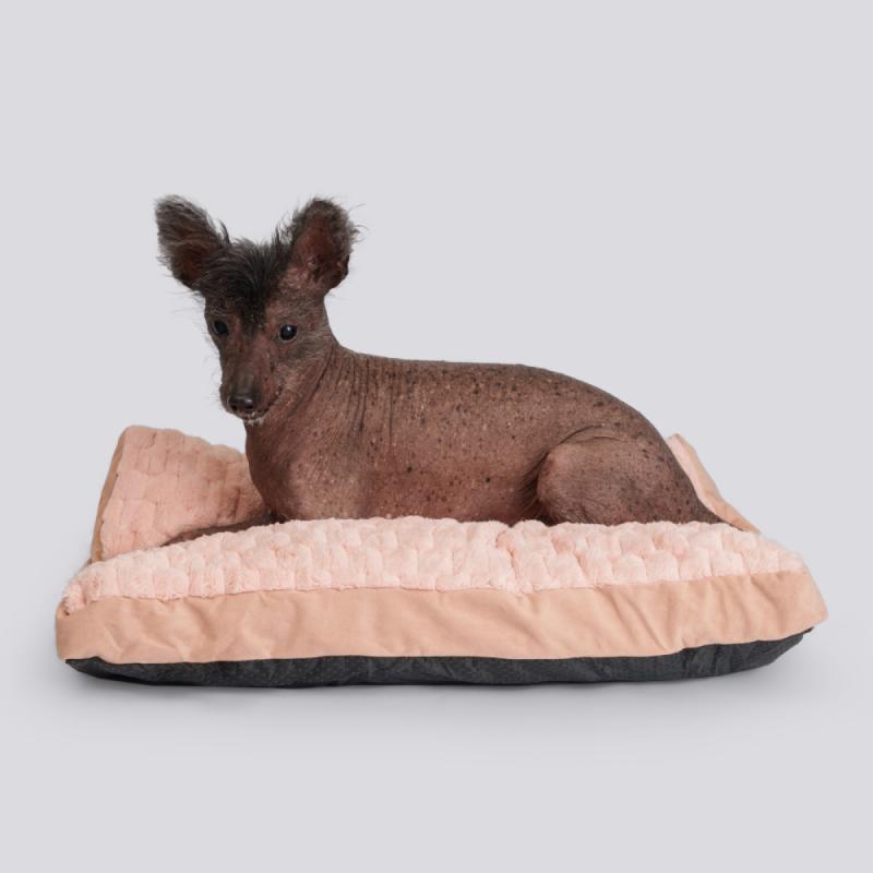 İstek Listesi Önizleme