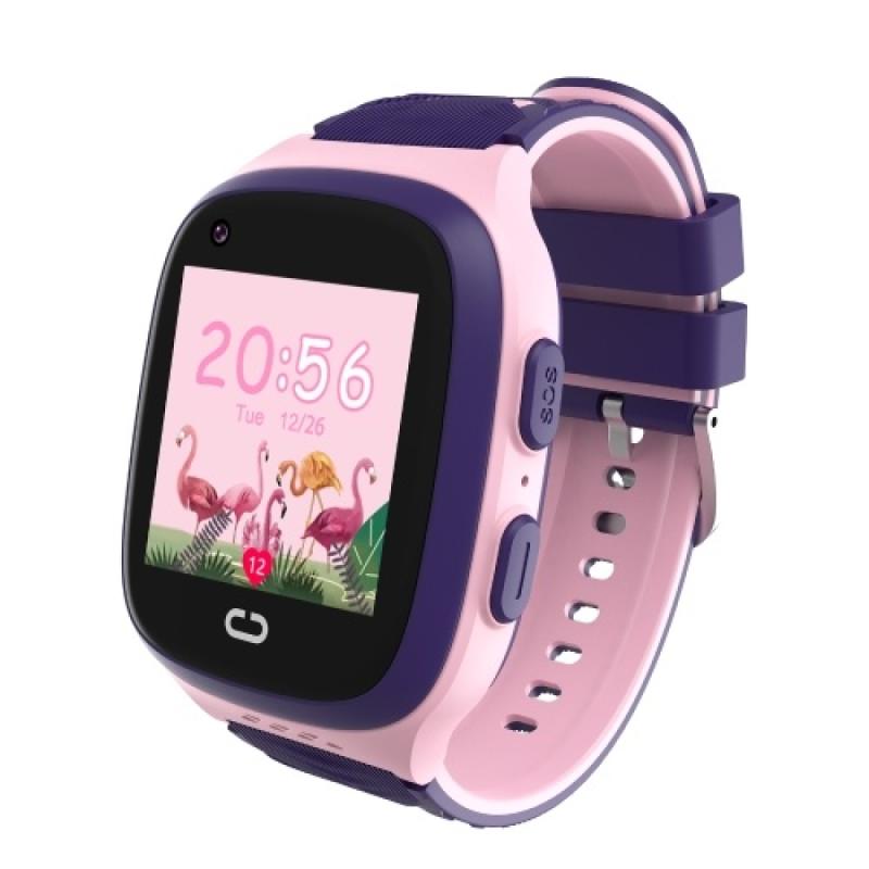 Previzualizare dorință